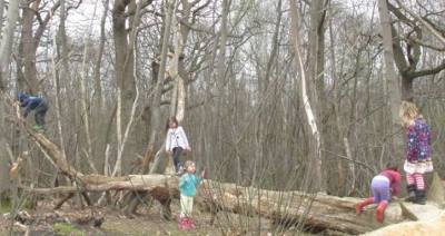 17884175_10158421293915858_2358219536791886669_n